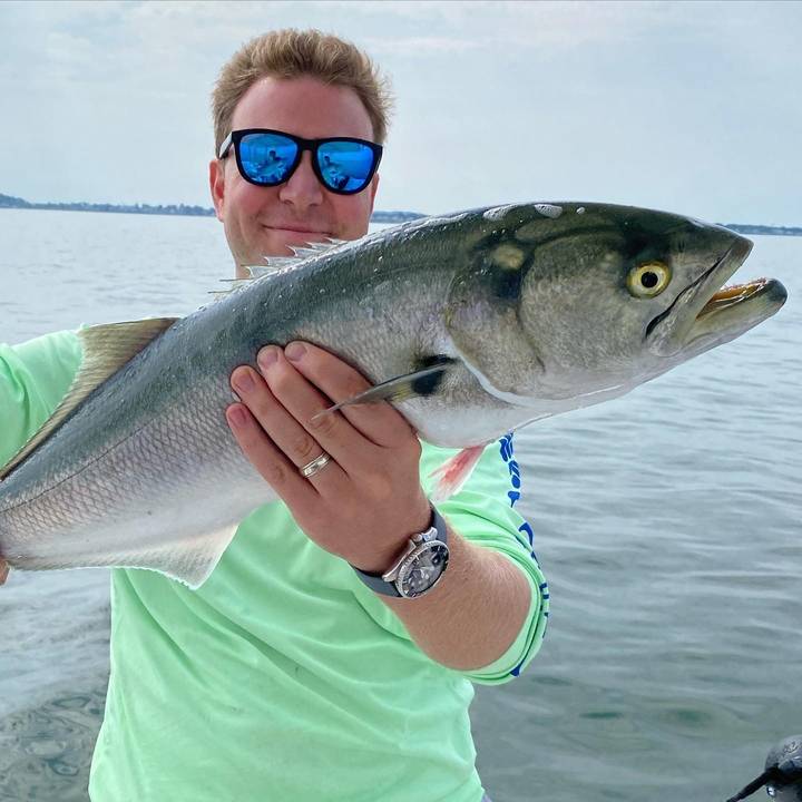 A bluefish held up close to the camera