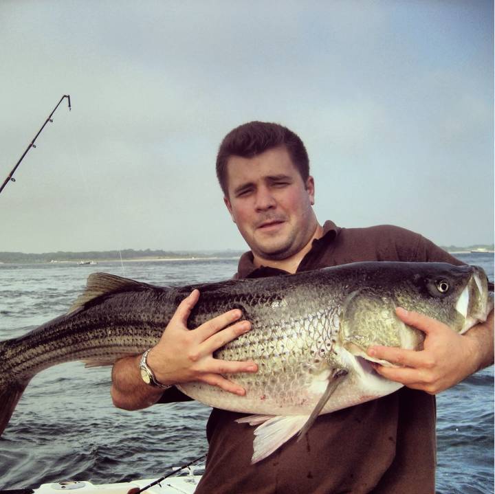 A heavy striped bass cradled in both arms