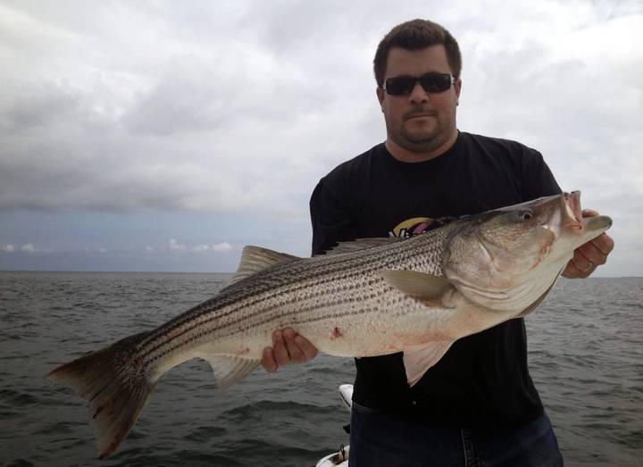 Big striped bass held up under a heavy overcast sky