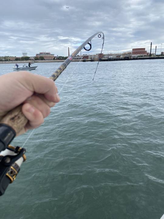 Rod bent over with the South Boston waterfront behind