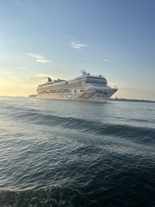 A cruise ship coming through the channel at first light