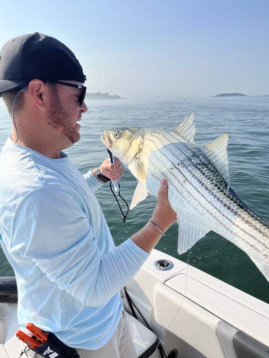 Letting a striper go over the side