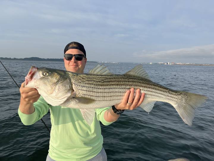 Striped bass held out over green water