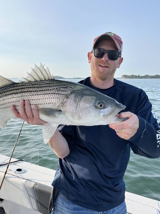 Striped bass held out over calm harbor water