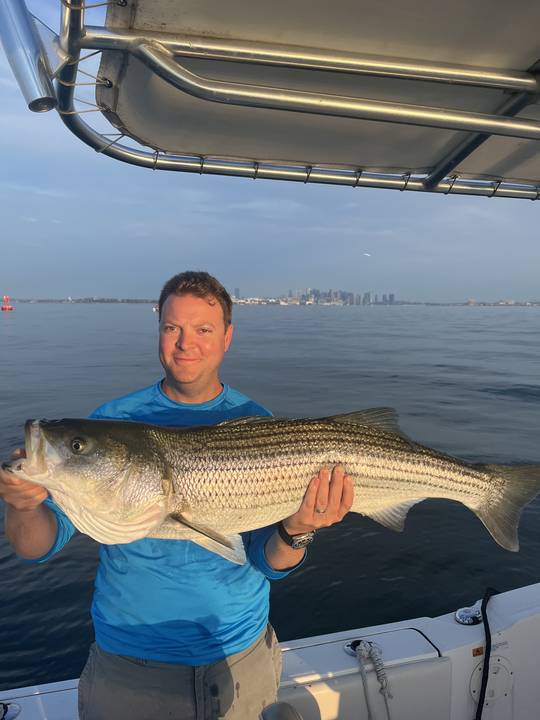 Striped bass under the T-top with the skyline behind