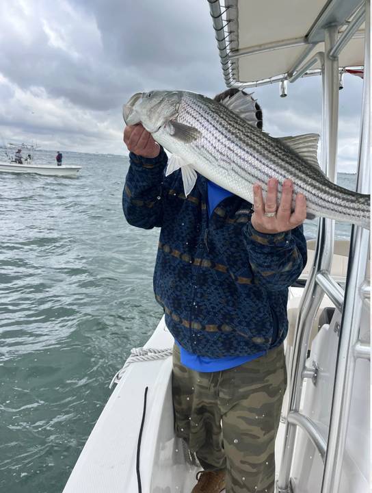 Striper held up on a grey, blown out afternoon