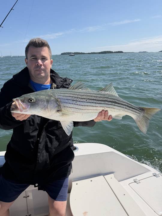 Striped bass held up with the harbor islands behind