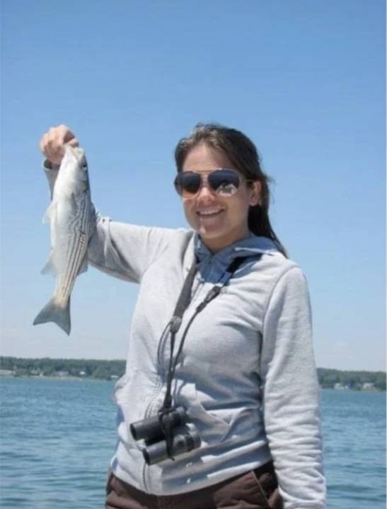 A schoolie striper held up on a bluebird day